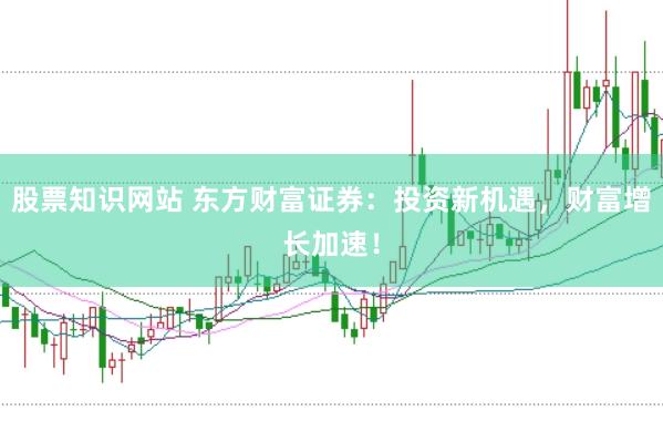 股票知识网站 东方财富证券：投资新机遇，财富增长加速！