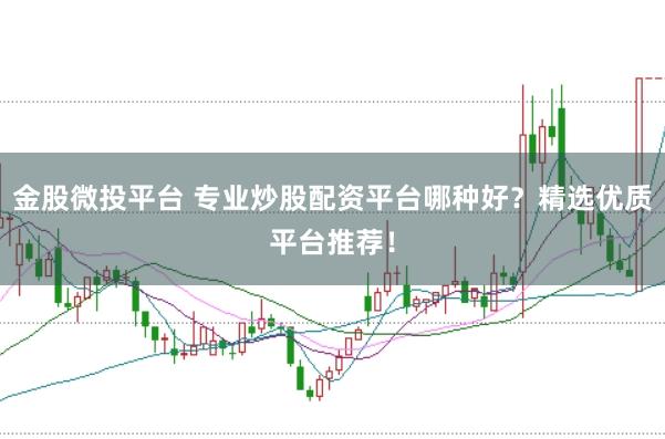 金股微投平台 专业炒股配资平台哪种好？精选优质平台推荐！
