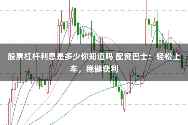 股票杠杆利息是多少你知道吗 配资巴士：轻松上车，稳健获利