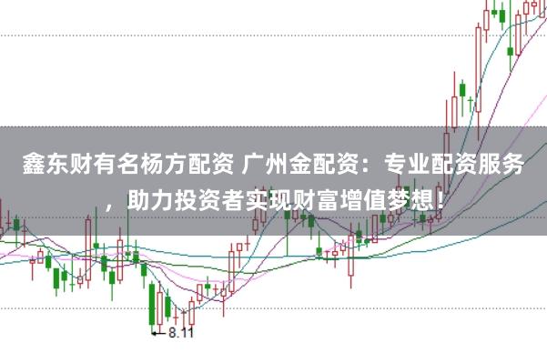 鑫东财有名杨方配资 广州金配资：专业配资服务，助力投资者实现财富增值梦想！