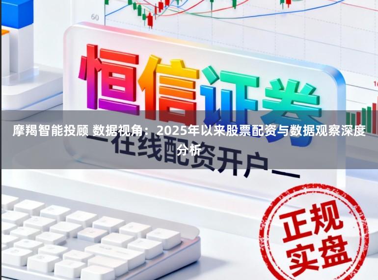 摩羯智能投顾 数据视角：2025年以来股票配资与数据观察深度分析