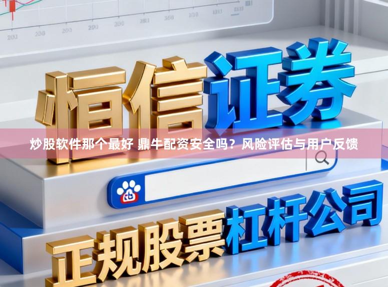 炒股软件那个最好 鼎牛配资安全吗？风险评估与用户反馈